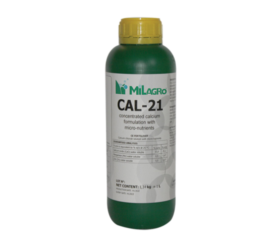 کال 21 (Cal 21)